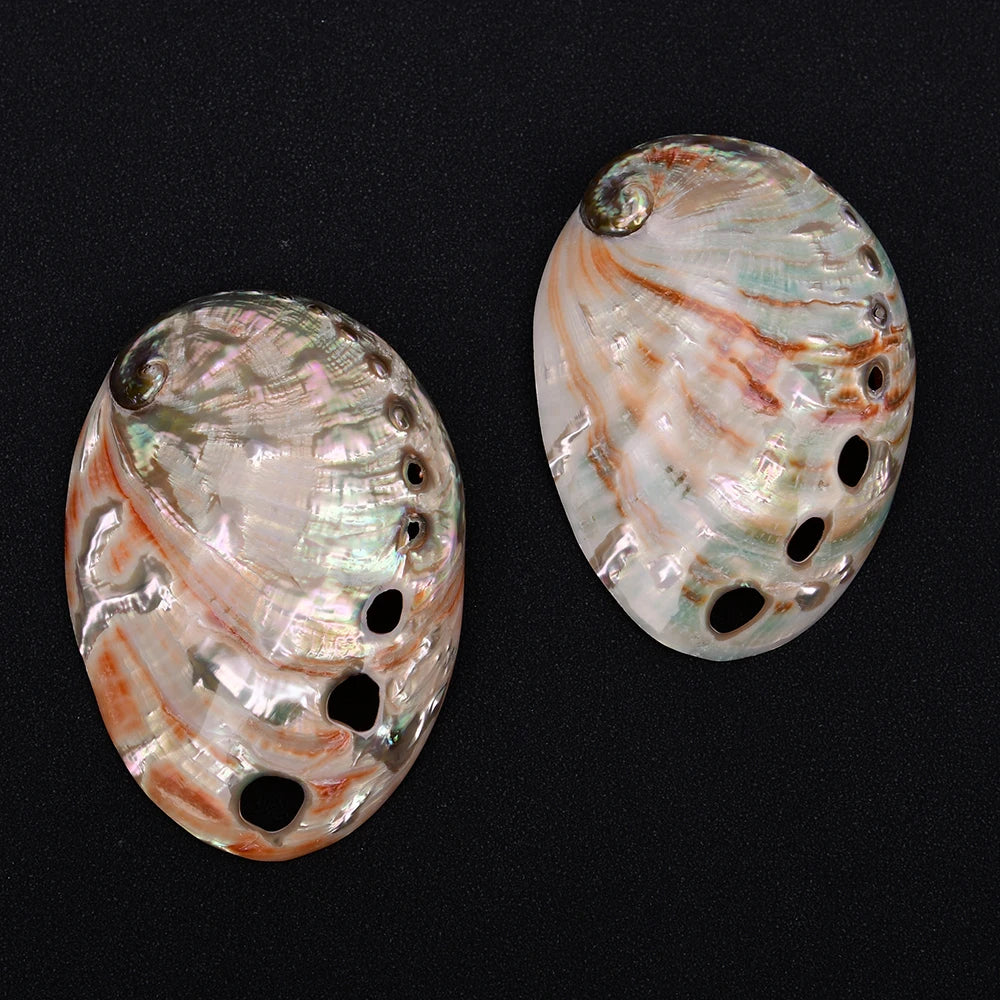 White Abalone Shell-ToShay.org