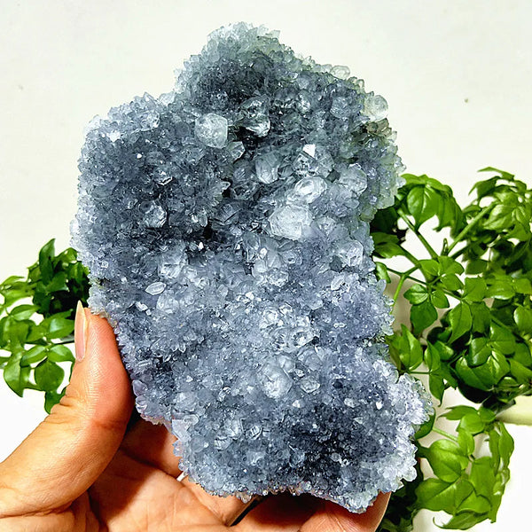 Purple Chrysanthemum Fluorite Crystal-ToShay.org