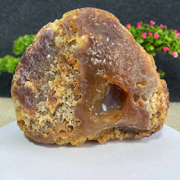 Yellow Honeycomb Agate-ToShay.org
