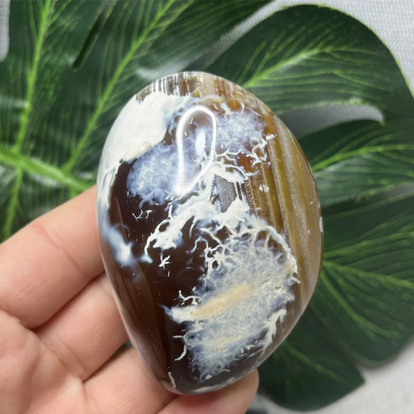 Yellow Silk Agate-ToShay.org