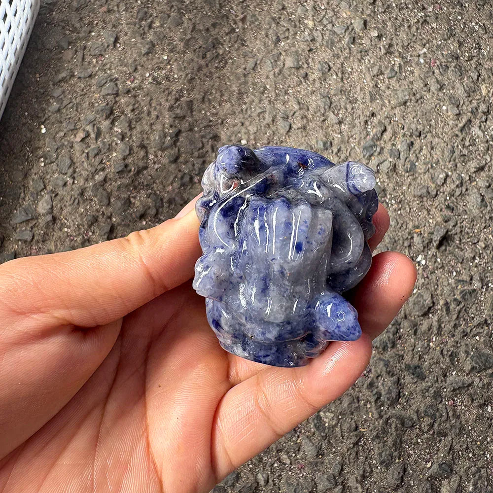 Blue Sodalite Medusa Head-ToShay.org
