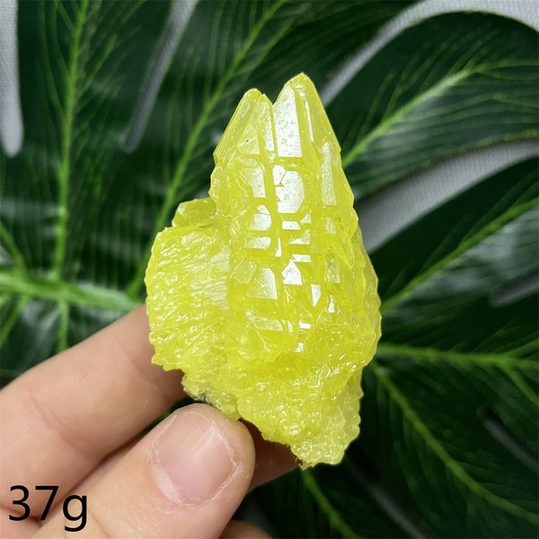 Yellow Sulfur Clusters-ToShay.org
