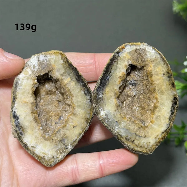 Mixed Agate Crystal Cave Egg-ToShay.org