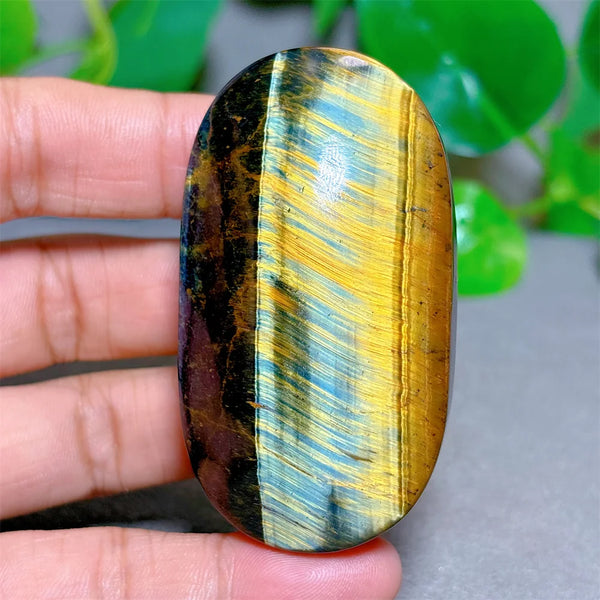 Blue Yellow Tiger Eye-ToShay.org