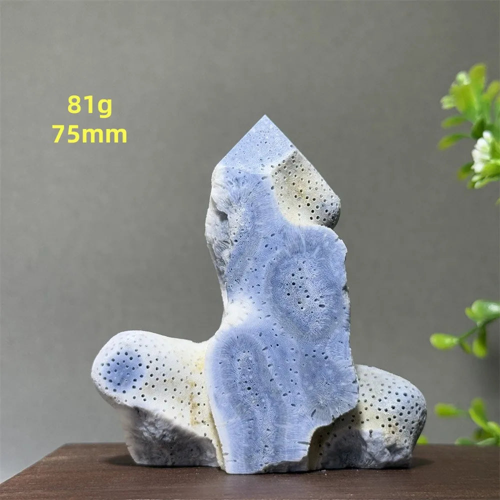 Blue Coral Crystal-ToShay.org