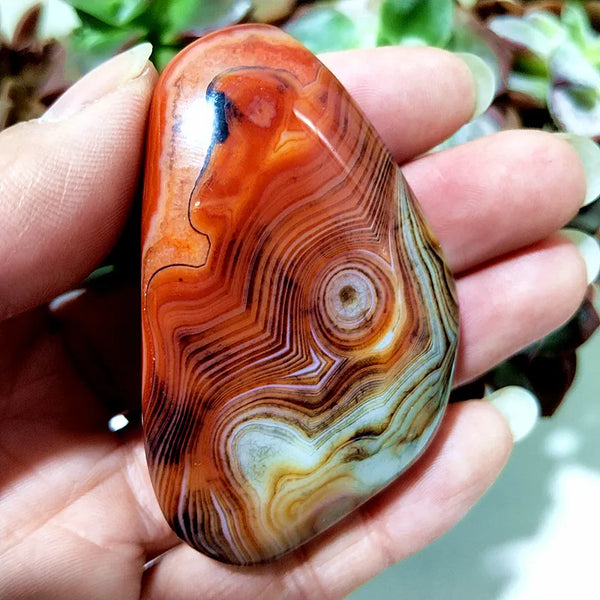 Red Lace Sardonyx Agate-ToShay.org