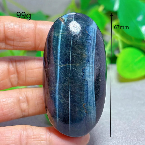 Blue Yellow Tiger Eye-ToShay.org
