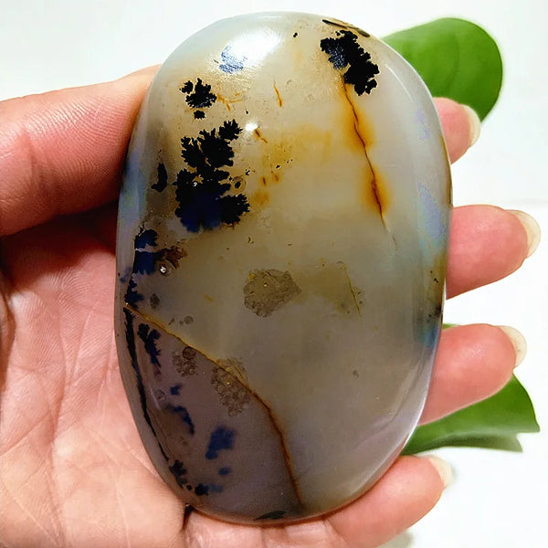 Yellow Blue Water Plant Agate-ToShay.org