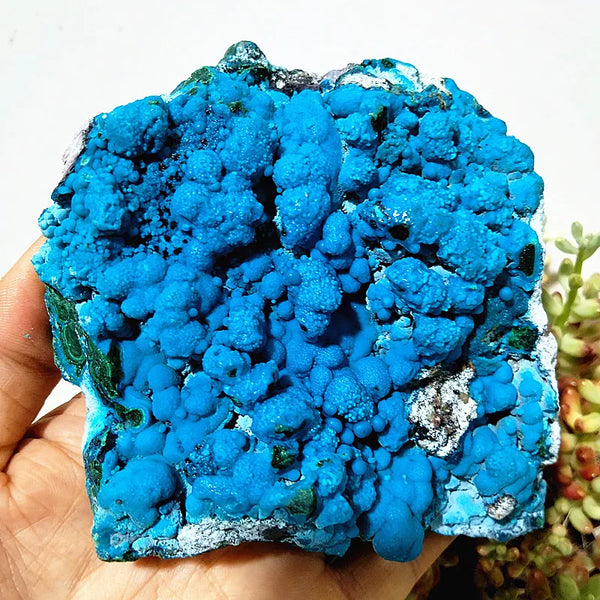 Blue Chrysocolla Crystal-ToShay.org