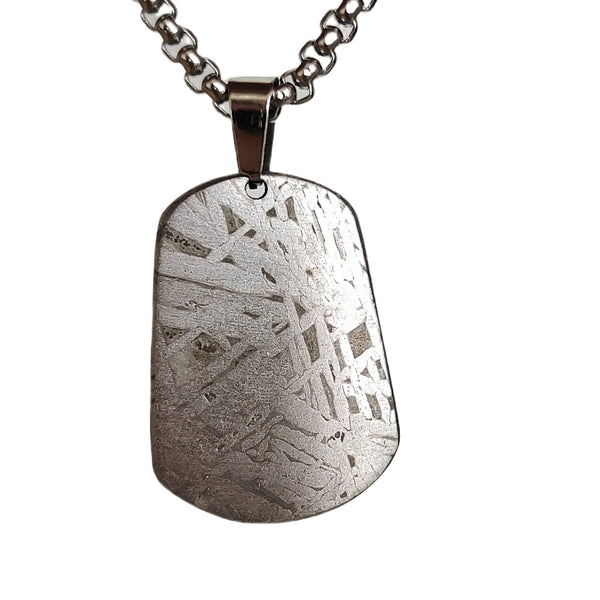 Iron Meteorite Dragon-ToShay.org