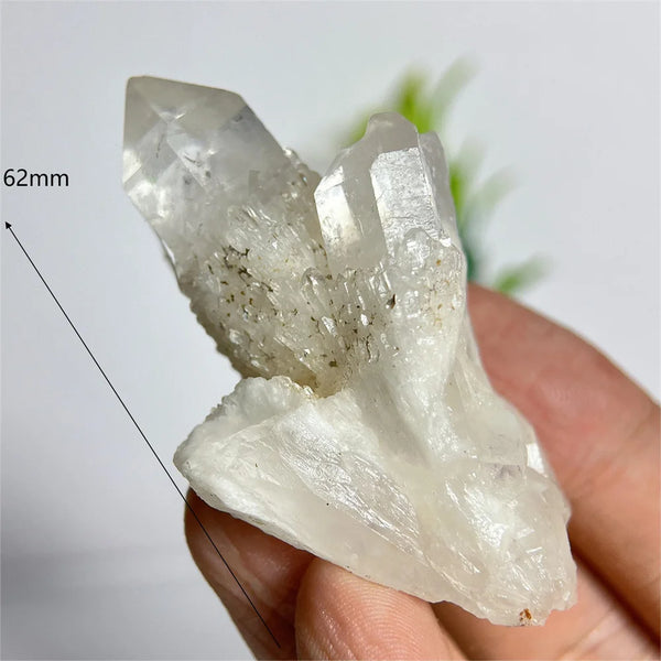 Clear Pineapple Quartz Cluster-ToShay.org