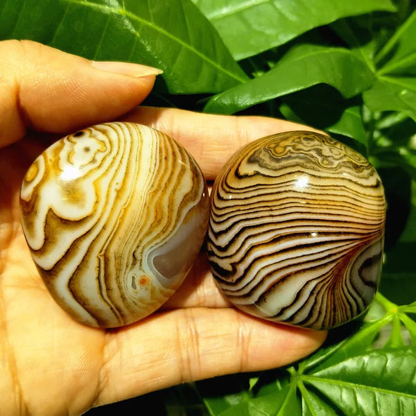 Red Sardonyx Agate-ToShay.org