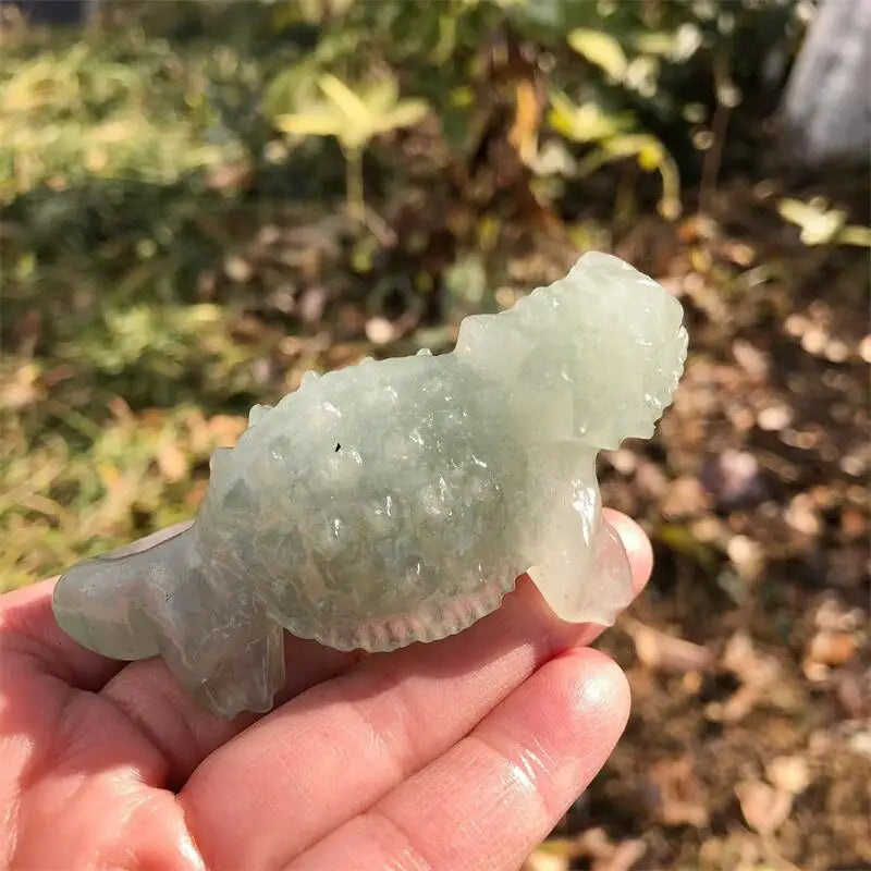 Mixed Crystal Lizards-ToShay.org