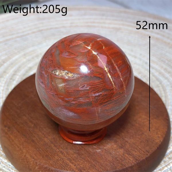 Brown Petrified Wood Ball-ToShay.org