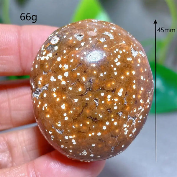 Ocean Jasper Palm Stone-ToShay.org