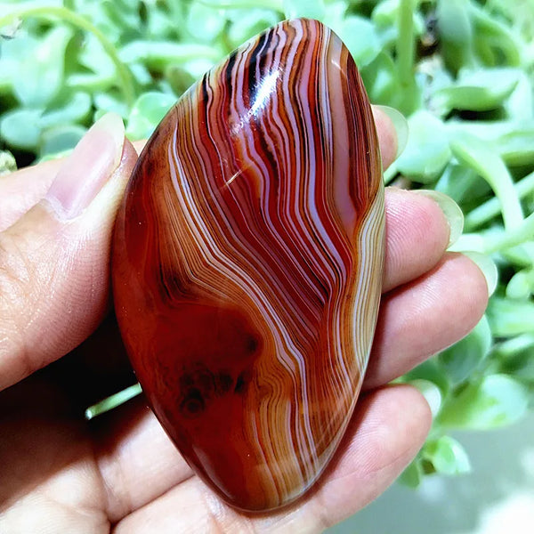 Red Sardonyx Lace Agate-ToShay.org