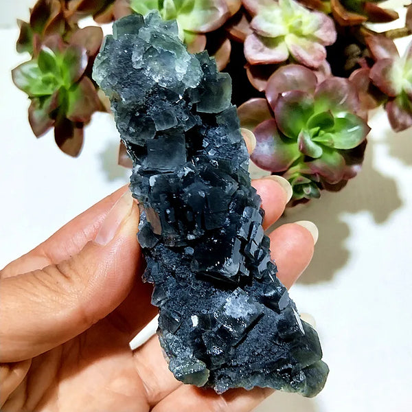 Blue Fluorite Crystal-ToShay.org