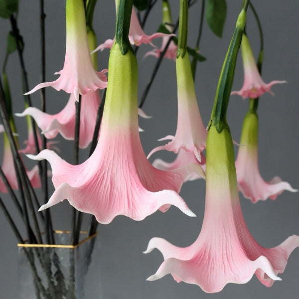 Lily Hanging Flowers-ToShay.org