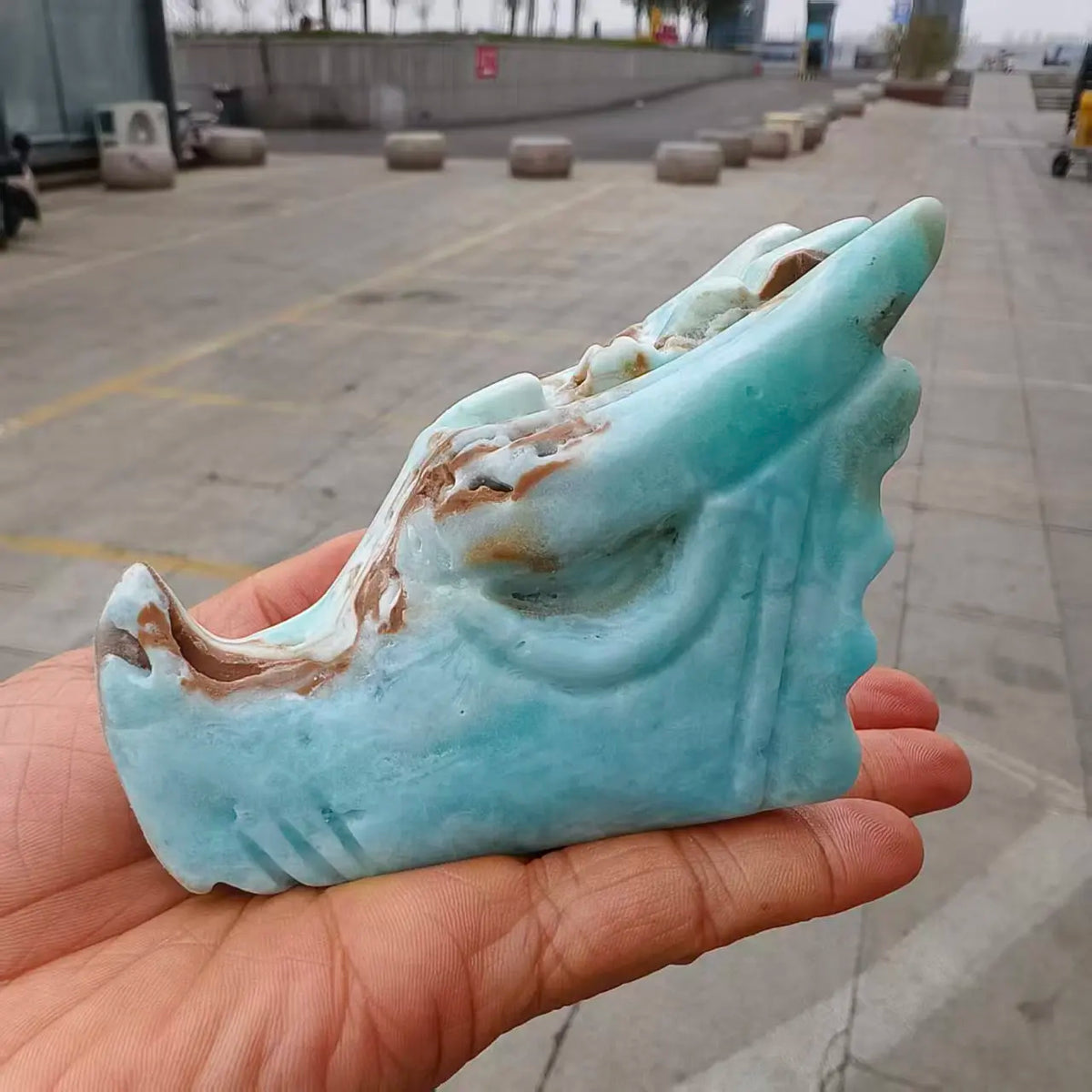 Blue Ore Dragon Head-ToShay.org