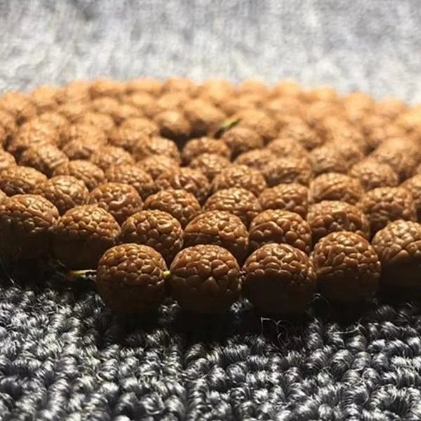 Brown Rudraksha Beads-ToShay.org
