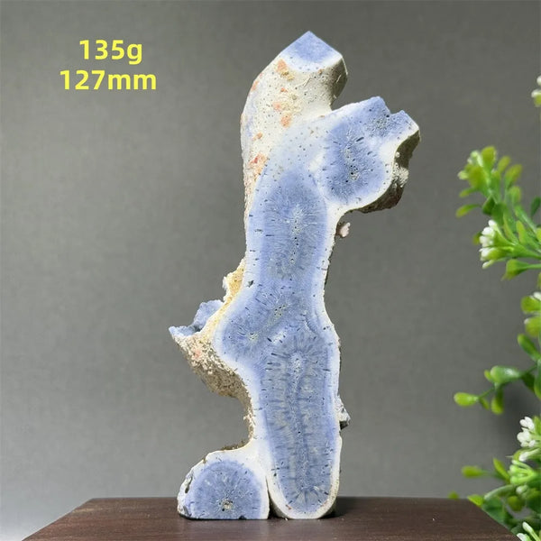 Blue Coral Crystal-ToShay.org