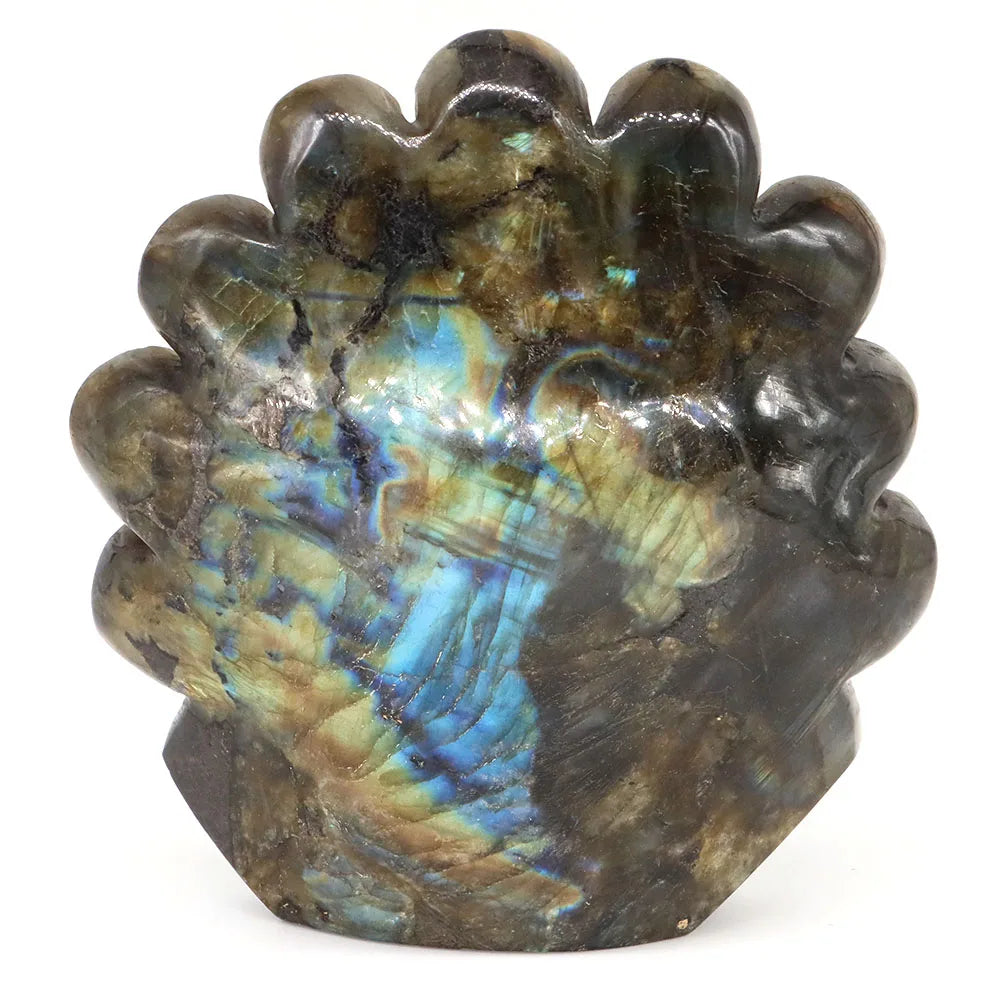 Blue Labradorite Peacock-ToShay.org