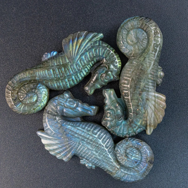 Blue Labradorite Seahorse-ToShay.org