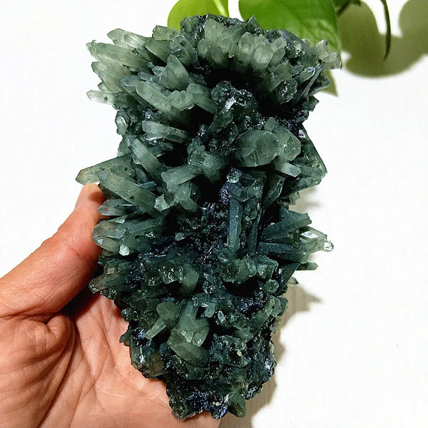 Green Epidote Crystal Cluster-ToShay.org