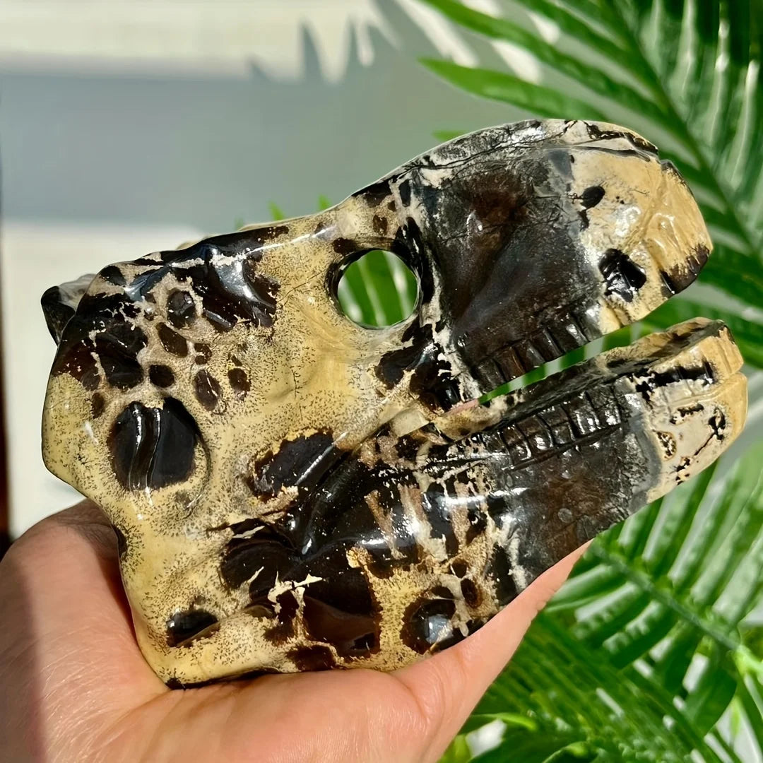 Yellow Picture Stone Dinosaur Skull-ToShay.org