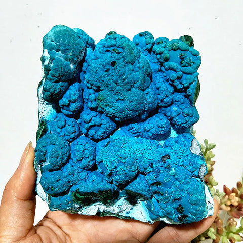 Blue Chrysocolla Crystal-ToShay.org