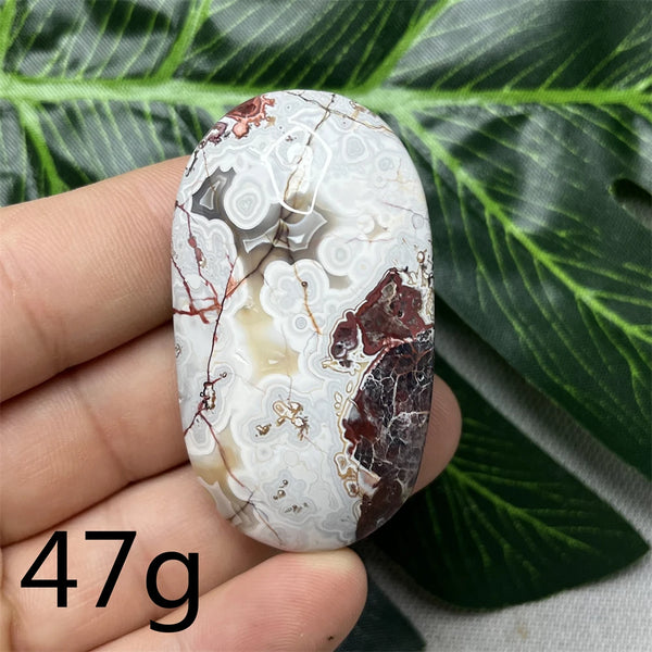 Red Crazy Agate Palm Stone-ToShay.org