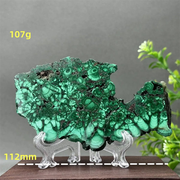 Green Malachite Slice-ToShay.org