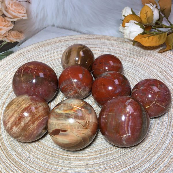 Brown Petrified Wood Ball-ToShay.org