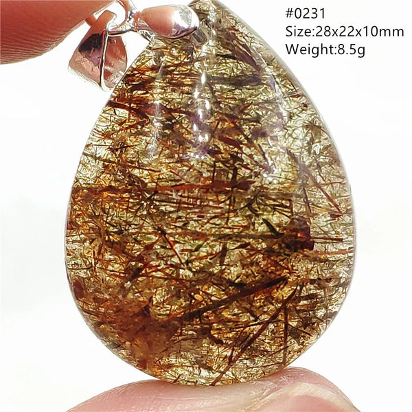 Black Gold Rutilated Quartz-ToShay.org