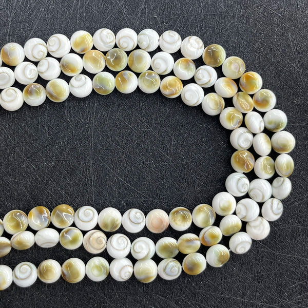 White Conch Shell Beads-ToShay.org