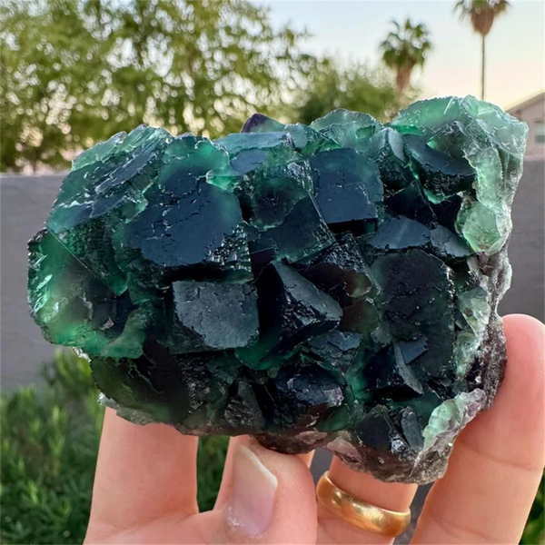 Green Fluorite Crystal Cluster-ToShay.org