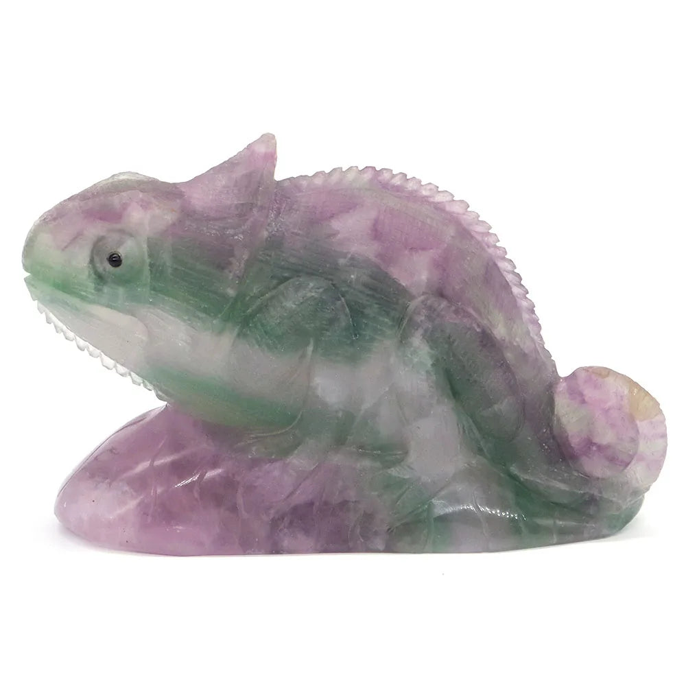 Rainbow Fluorite Lizard-ToShay.org
