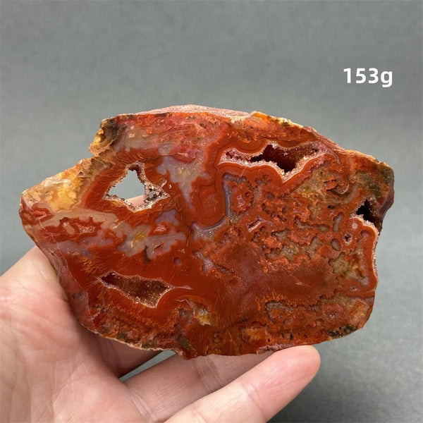 Red Cherry Blossom Agate-ToShay.org