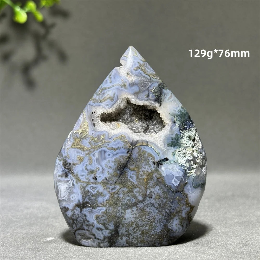 Green Aquatic Plant Agate-ToShay.org