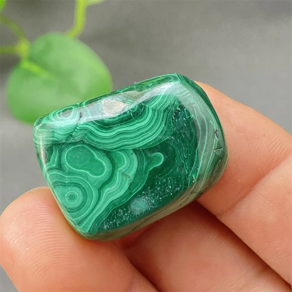 Green Malachite Tumbled Stone-ToShay.org