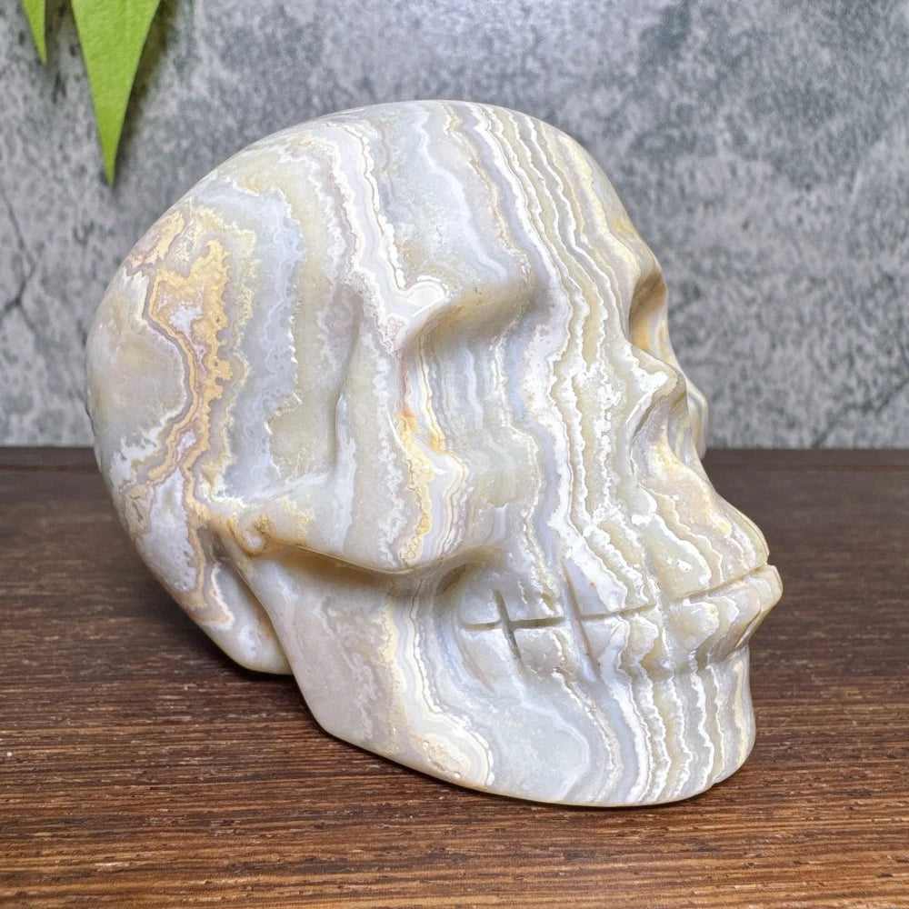 Grey Crazy Lace Agate Skull-ToShay.org