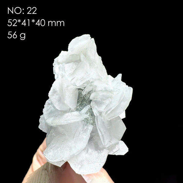 White Calcite Rose-ToShay.org