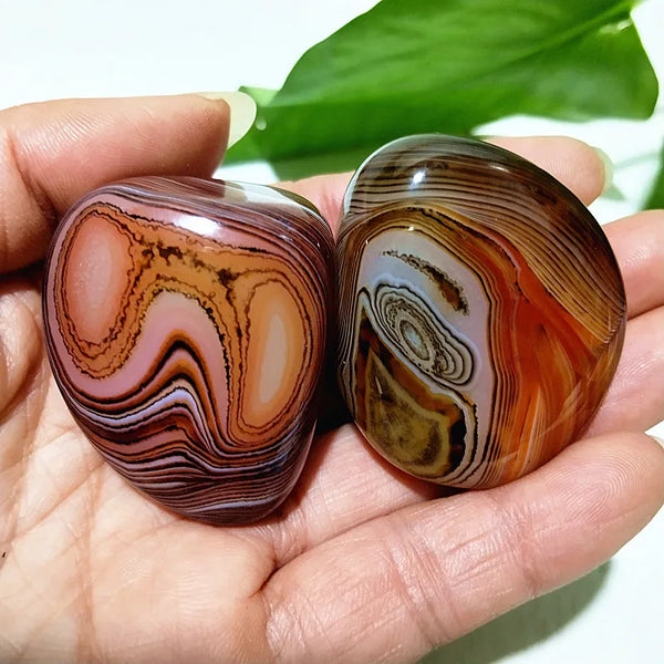Red Lace Sardonyx Palm Stones-ToShay.org