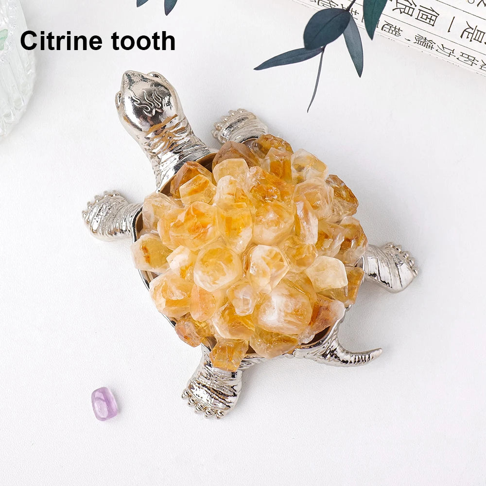 Mixed Crystal Turtles-ToShay.org