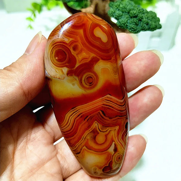 Red Lace Sardonyx Agate-ToShay.org