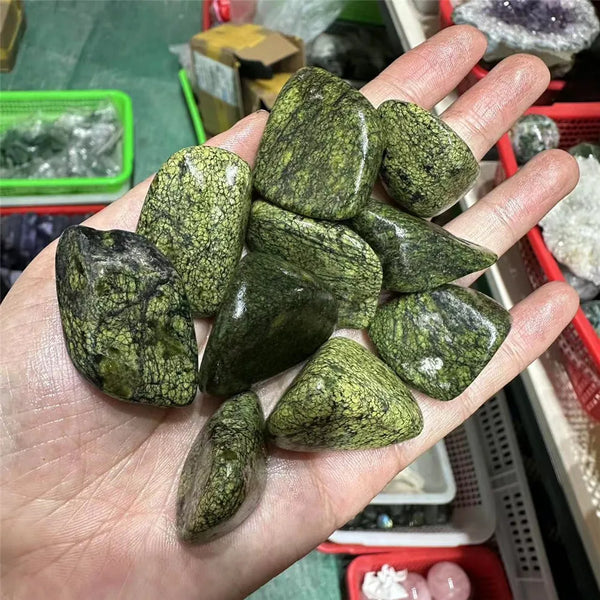 Green Serpentine Tumbled Stones-ToShay.org