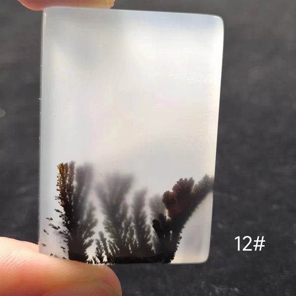 White Onyx Ocean Chalcedony-ToShay.org