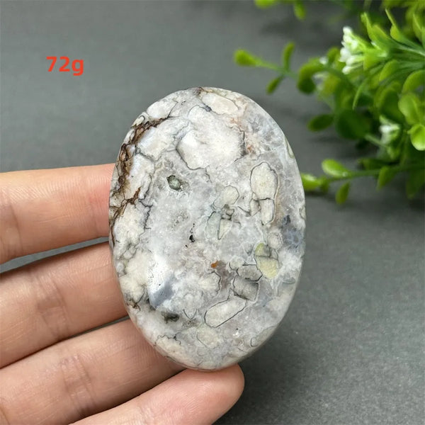 Black Cherry Blossom Agate-ToShay.org