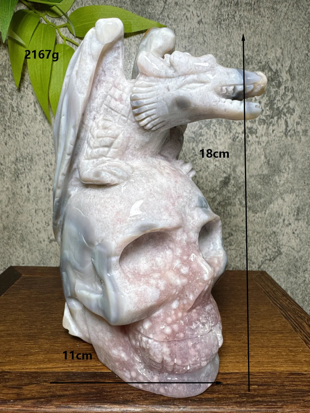 Grey Flower Agate Pterosaur Skull-ToShay.org