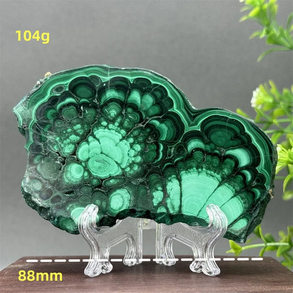 Green Malachite Slice-ToShay.org
